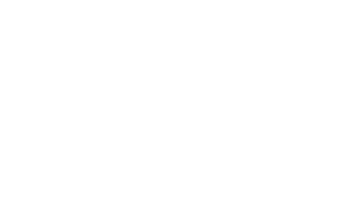 HYROX Logo small white